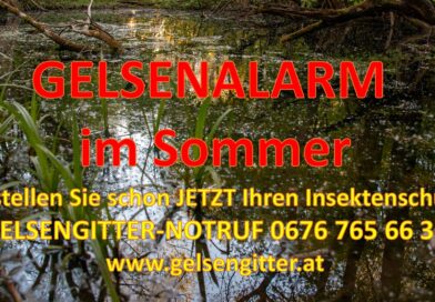 Gelsengitter / Fliegengitter / Insektenschutz jetzt bestellen