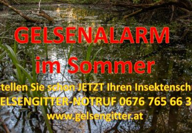 GELSENALARM IM SOMMER